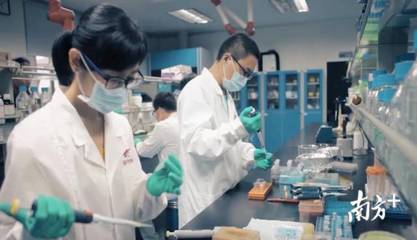 進軍農業現代化|沒有陽光土壤,蔬菜如何生長?探秘海豐神秘的植物工廠